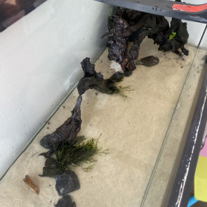 Publication de Fish974