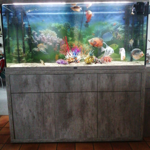 aquarium aquatlantis avec son meuble