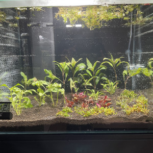 Publication de Scylla_59