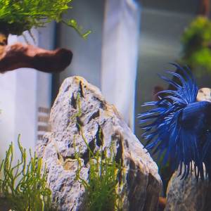 Publication de Julien67200