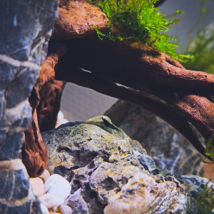 Publication de Julien67200