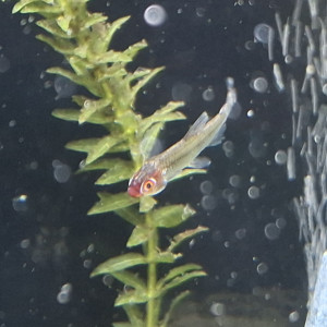 Publication de StephL