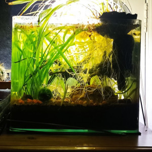 Publication de LilithLisa