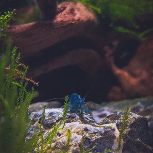 Publication de Julien67200