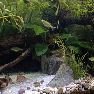 Publication de Bbrouget