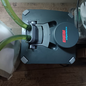 Publication de Bbrouget