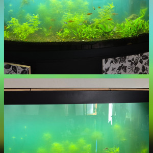 Publication de Cha87