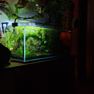 Publication de ArtemusKlegg