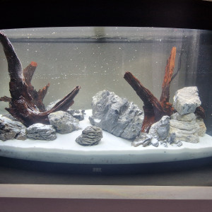 Publication de Sylv1et1