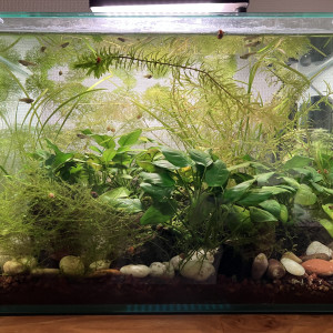 Publication de fabioushka