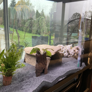 Publication de H2Zoo.Exe