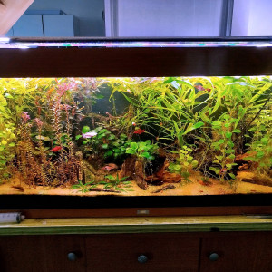 Publication de bryce