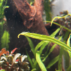 Publication de Maxence70