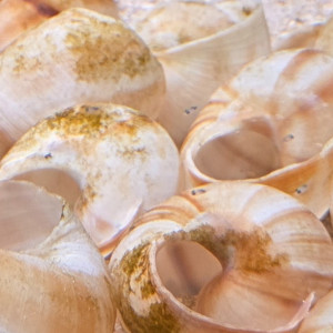 Publication de Val712712