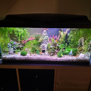 80 L