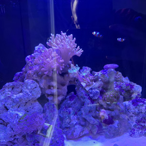 Publication de Guiguidu57