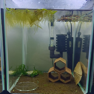 Publication de Jacky1982