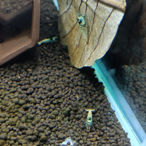 Publication de Jacky1982