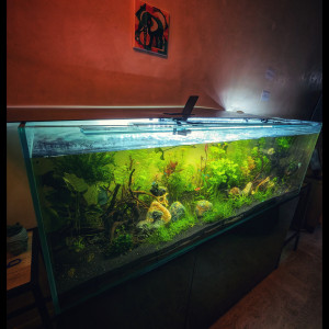 Publication de LaRenardouce