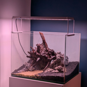 Publication de Jo2212