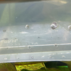 Publication de Nahemafleur