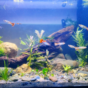 Publication de Tiffanissart