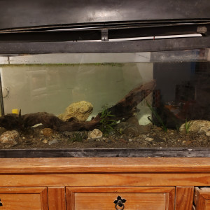 Publication de Tiffanissart