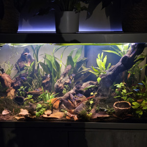 Publication de Loic26