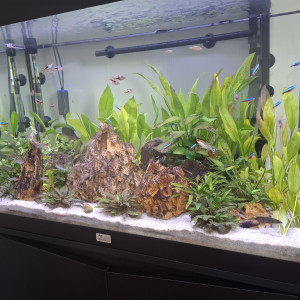 Publication de Guiguidu57