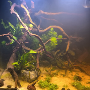 Publication de joris42