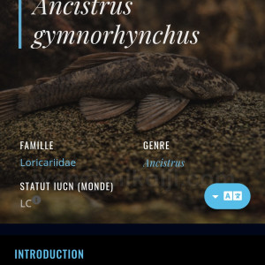 Publication de Tiffanissart