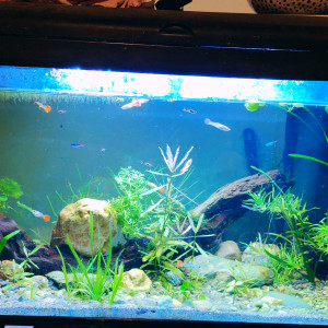 Publication de Tiffanissart