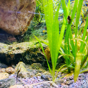 Publication de Tiffanissart