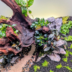 Publication de Jo2212