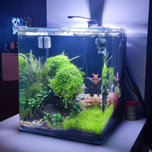 Publication de laure-poussinsky