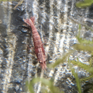 Publication de Jordane78