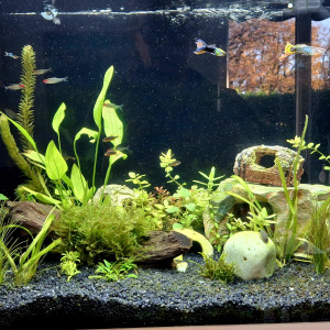 Publication de StephL