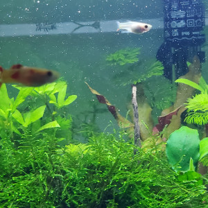 Publication de Mariekiwi