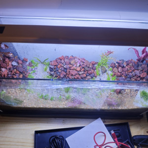 Publication de Kilowat01