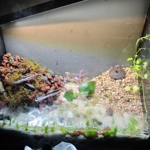 Publication de Kilowat01