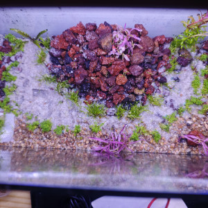 Publication de Kilowat01