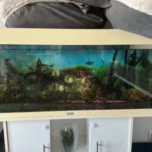 À donner rapidement