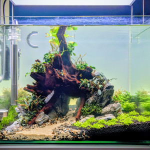 Publication de Jo2212