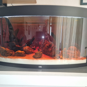 Publication de Sylv1et1