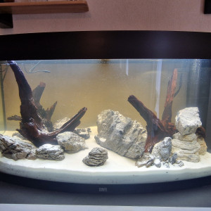 Publication de Sylv1et1