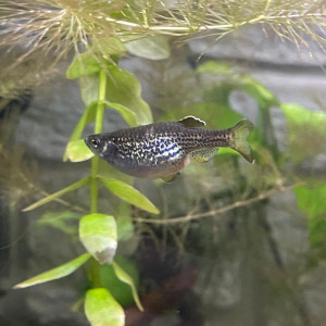 Publication de Emmanuel07