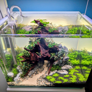 Publication de Jo2212