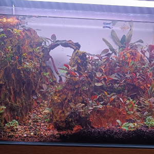 Publication de Ironangel1981