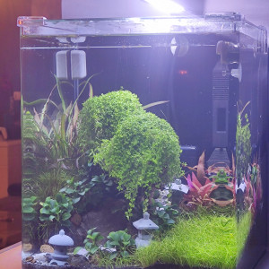 Publication de laure-poussinsky