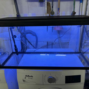 Aquarium